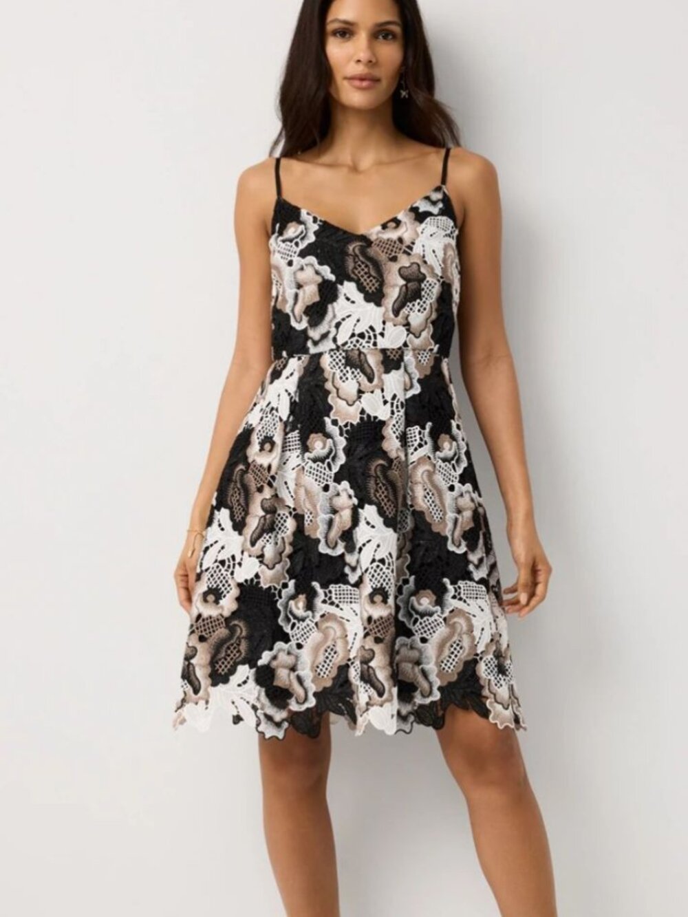 nwt $225 tags WHITE HOUSE BLACK MARKET premium all lace applique dress 2